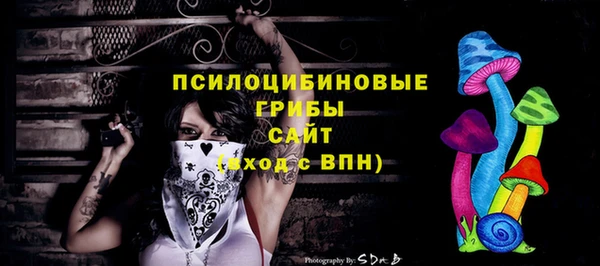 стаф Зеленодольск